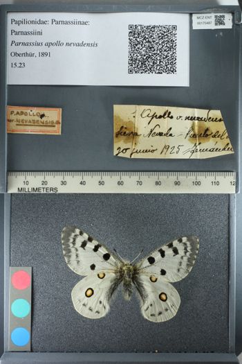 Media type: image;   Entomology 175487